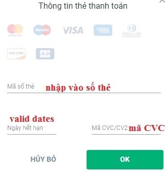 Dien-thong-tin-the-visa