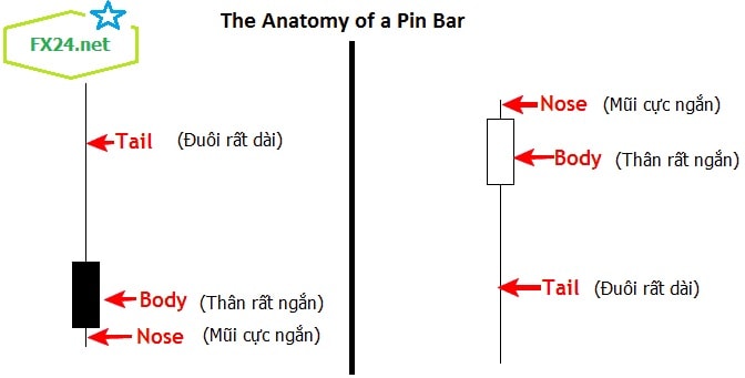 Pin-bar-price-action-toan-tap